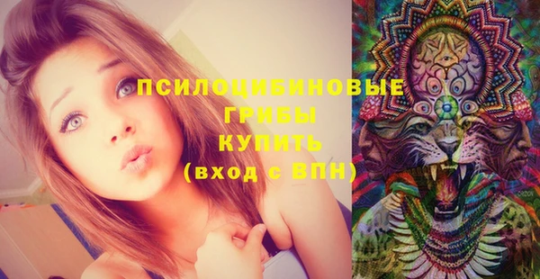 ALPHA PVP Касимов